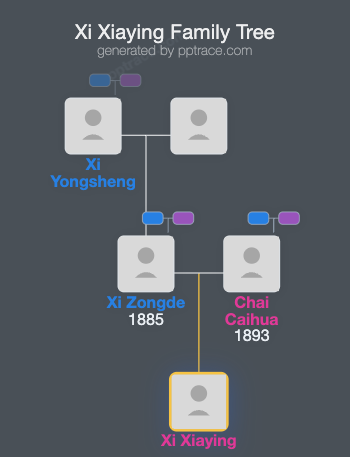 Xi Xiaying family tree overview