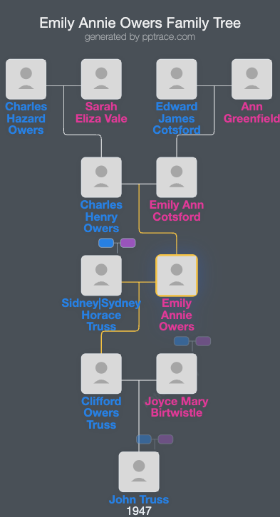 Emily Annie Owers family tree overview