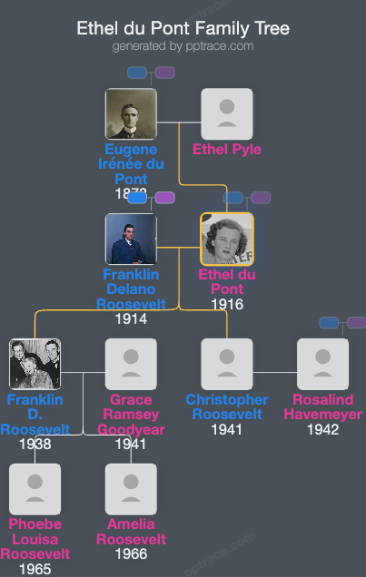 Ethel Du Pont family tree overview