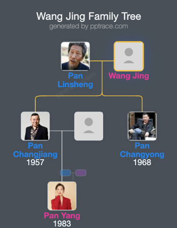 Wang Jing family tree overview