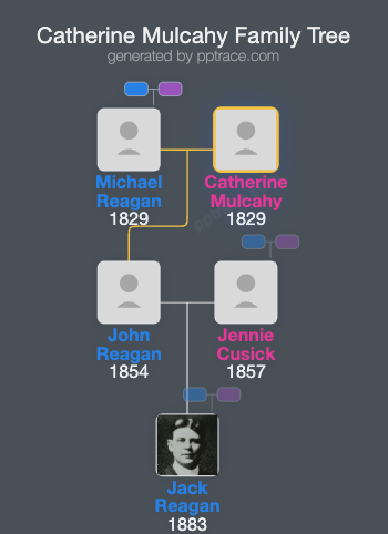 Catherine Mulcahy family tree overview