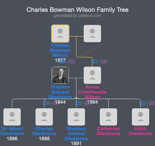 Charles Bowman Wilson family tree overview