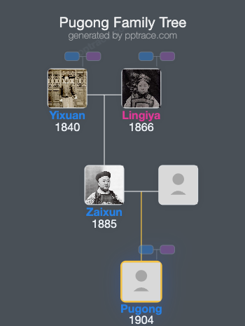 Pugong family tree overview