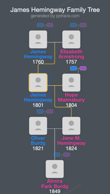 James Hemingway family tree overview