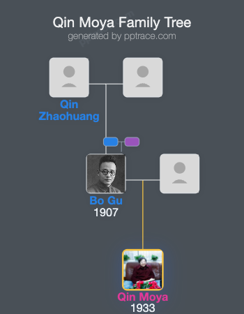 Qin Moya family tree overview