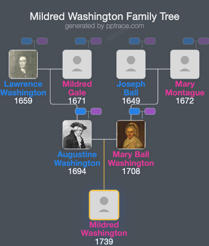 Mildred Washington family tree overview