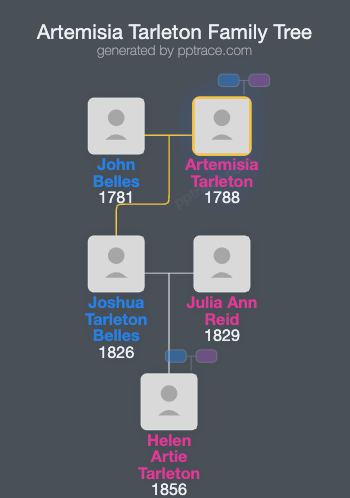 Artemisia Tarleton family tree overview