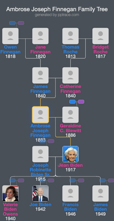 Ambrose Joseph Finnegan family tree overview
