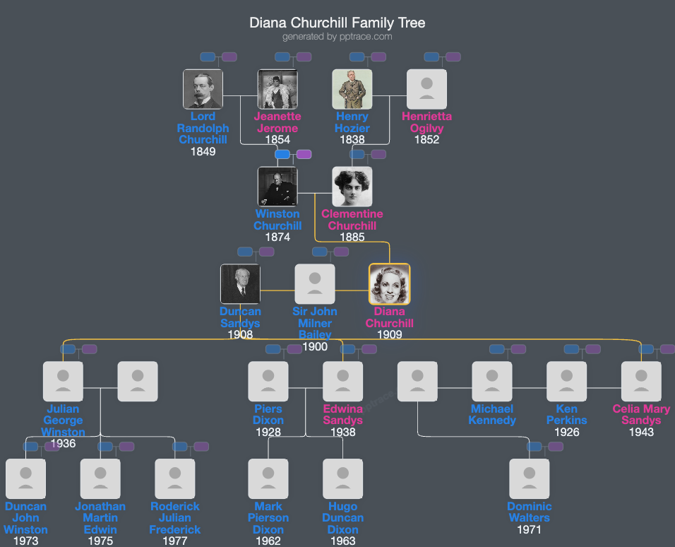Diana Churchill family tree overview