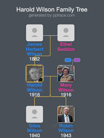 Harold Wilson family tree overview