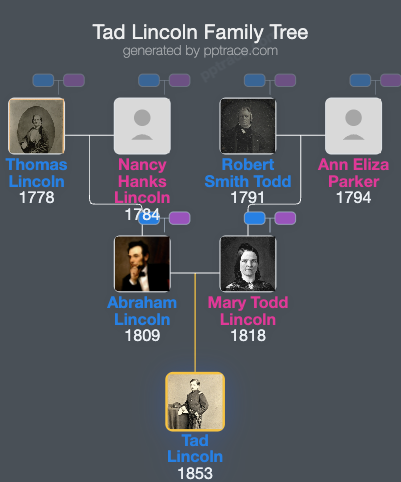 Tad Lincoln family tree overview