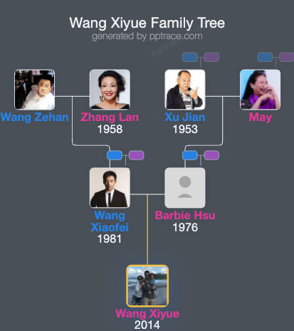 Wang Xiyue family tree overview