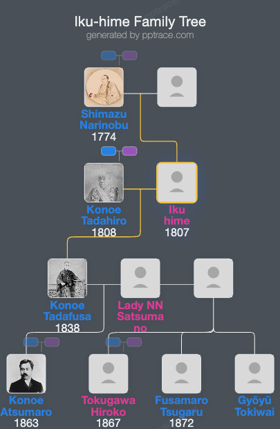 Iku-hime family tree overview