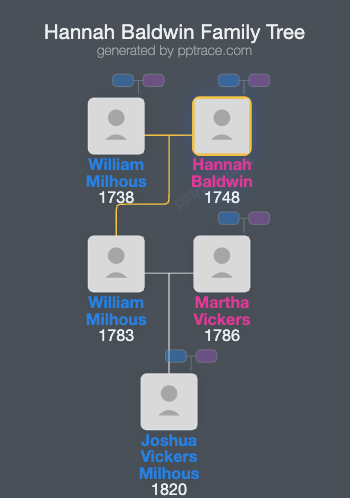 Hannah Baldwin family tree overview