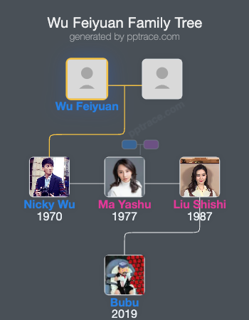 Wu Feiyuan family tree overview