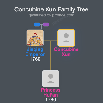 Concubine Xun family tree overview