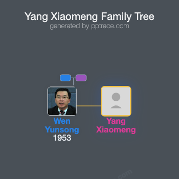 Yang Xiaomeng family tree overview