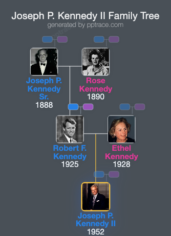 Joseph P. Kennedy II family tree overview