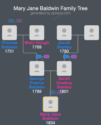 Mary Jane Baldwin family tree overview