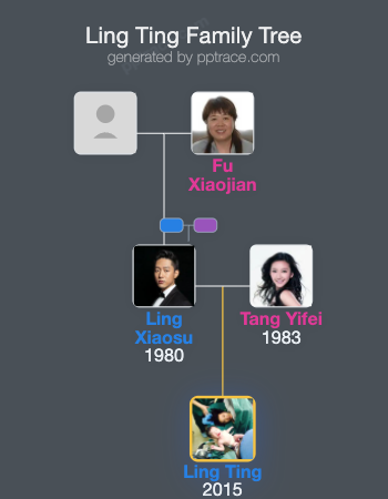 Ling Ting family tree overview