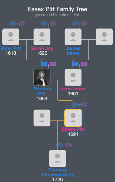 Essex Pitt family tree overview