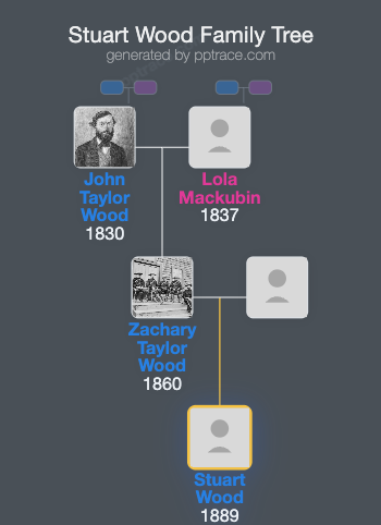 Stuart Wood family tree overview