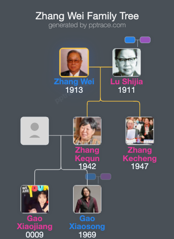 Zhang Wei family tree overview