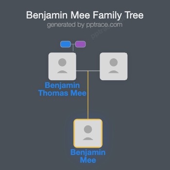 Benjamin Mee family tree overview