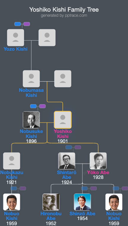 Yoshiko Kishi family tree overview