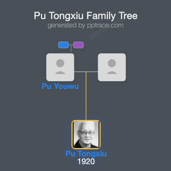 Pu Tongxiu family tree overview