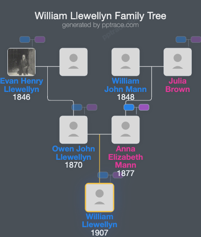 William Llewellyn family tree overview