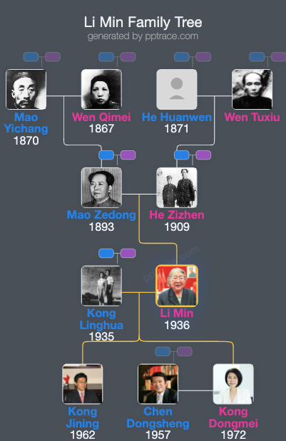 Li Min family tree overview