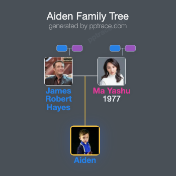 Aiden family tree overview