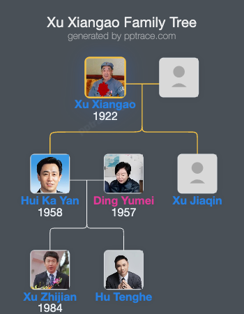 Xu Xiangao family tree overview