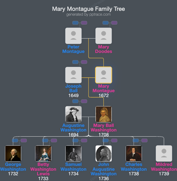 Mary Montague family tree overview