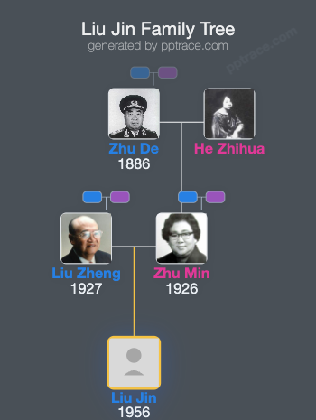 Liu Jin family tree overview