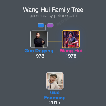 Wang Hui family tree overview