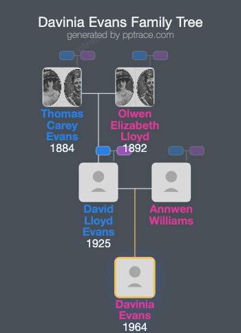 Davinia Evans family tree overview