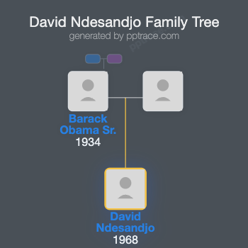 David Ndesandjo family tree overview