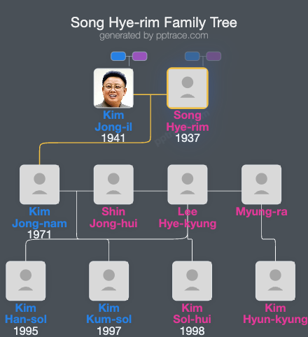 Song Hye-rim family tree overview