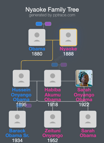Nyaoke family tree overview
