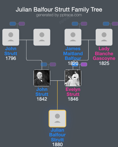 Julian Balfour Strutt family tree overview