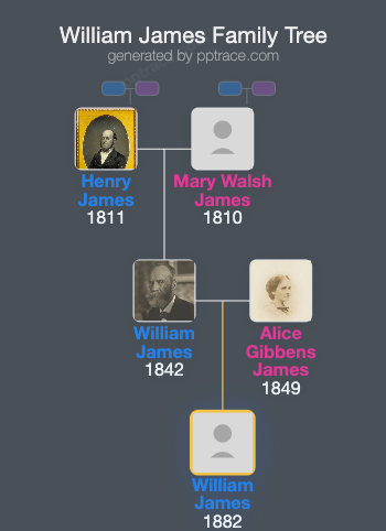 William James family tree overview