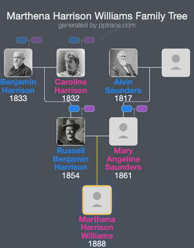 Marthena Harrison Williams family tree overview
