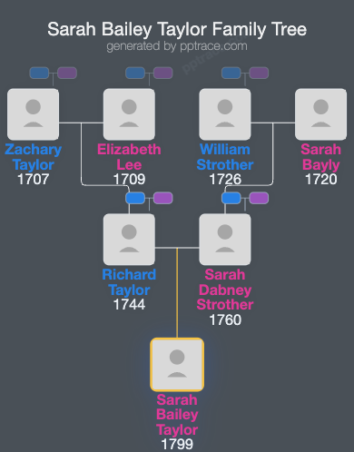 Sarah Bailey Taylor family tree overview