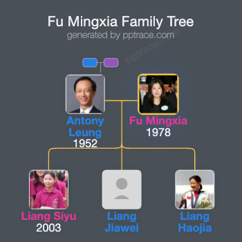 Fu Mingxia family tree overview