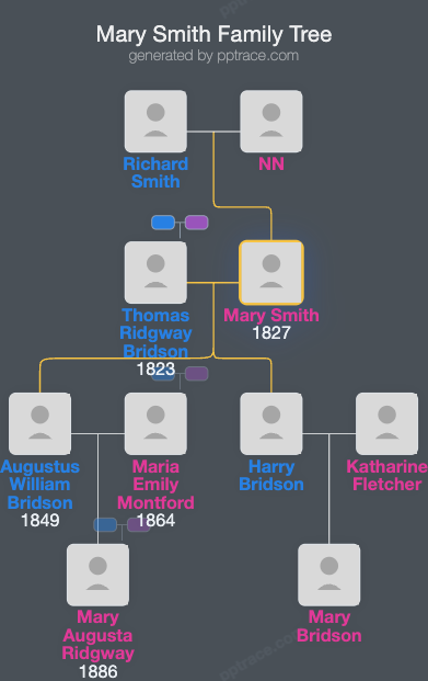 Mary Smith family tree overview