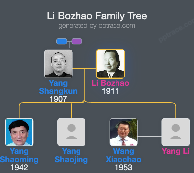 Li Bozhao family tree overview