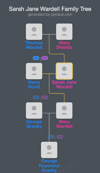 Sarah Jane Wardell family tree overview
