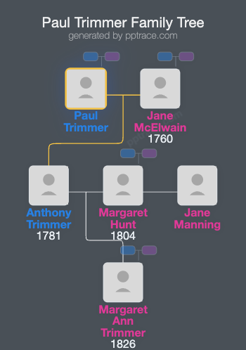 Paul Trimmer family tree overview